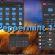 Screen z Peppermint OS