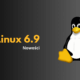 Linux 6.9